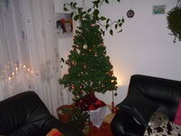 DEZEMBER2012 002