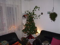 DEZEMBER2012 004